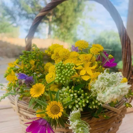 Angrillats * Lladurs