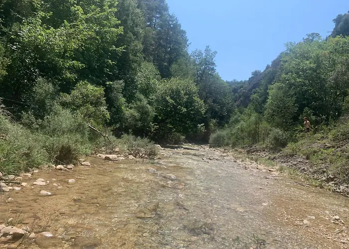 Angrill Habitacions 山林小屋 Lladurs